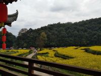 婺源老村长家民宿 - 酒店景观