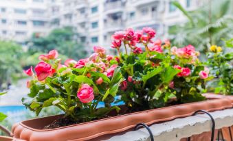 A pot with red and green flowers sits on the balcony in front of an open window at Guangzhou Feiyang Apartment