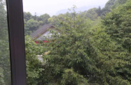 Bifeng Gorge Jiangyuanting Hotel