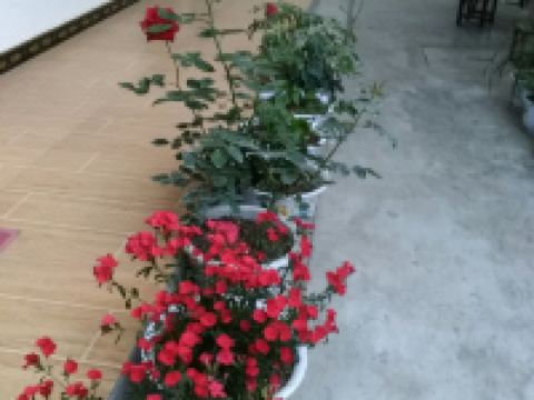 剑阁亦可家宾馆 - 公共区域