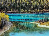 喀纳斯有缘山庄 - 酒店附近