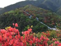 新化大熊山宾馆 - 其他