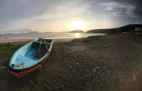 Otter Home - 2 Yıldız