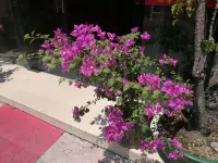 Hongxin Hotel (Qingyuan People's Hospital Gymnasium) - Bjergudsigt