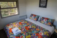 Dreaming of the Buckland