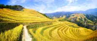 舞燕虹雲酒店（龍勝龍脊千層天梯觀景台店） - 山景