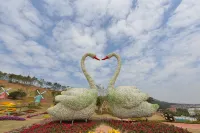 Qinuan Xiyuezhuang Boutique Guesthouse - غرفة مطلة على الجبل