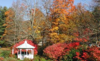 The 1896 House Country Inn - Brookside & Pondside