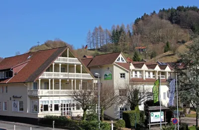 Hotel Sauerbrey Hotels near Lidl