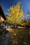 Tengchong Jinqiu Farm Stay