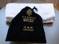 索菲亚酒店(自贡新汽车总站店) - 其他