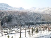 西岭雪山雪源酒店 - 酒店景观