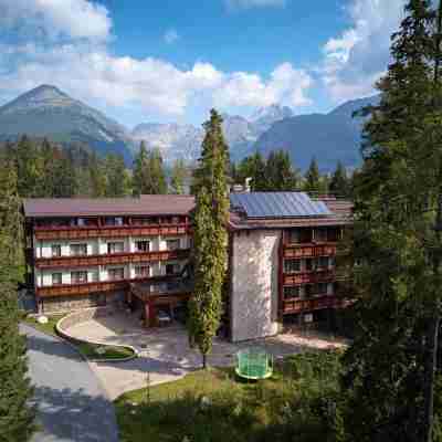 Wellness Hotel Borovica Hotel Exterior