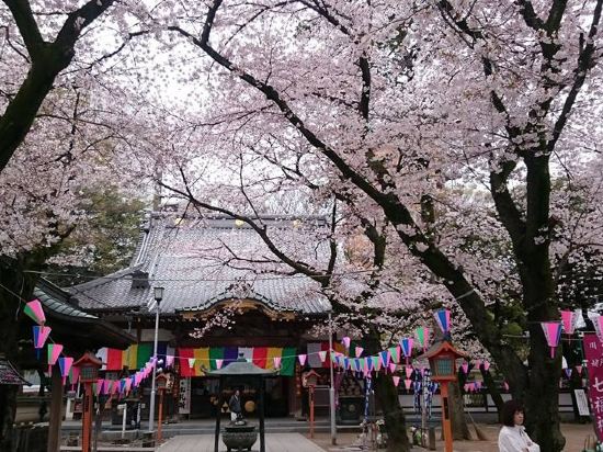 ふじみ野のトヨタレンタリース新埼玉 上福岡駅前店周辺のホテル【2021 