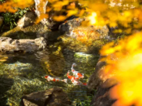 Gora-Onsen　Setsugetsuka-Bettei　Suiun Hotels in Hakone
