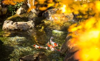 Gora-Onsen　Setsugetsuka-Bettei　Suiun