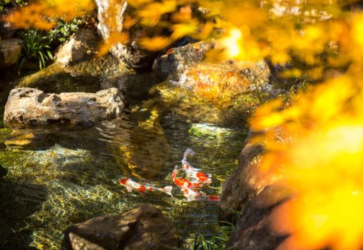 료칸 스이운 이미지