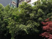 重庆正西公寓 - 酒店外部