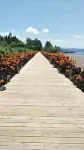 Fuxian Lake Excellence Inn (Moon Bay Wetland Park)