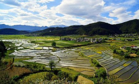 Weixi Baiguo Zeke Homestay - Housity