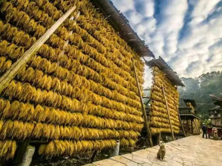 Keke Hotel Отели рядом с достопримечательностью «Gaozeng Dongzhai»