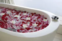 Grand Prince Hotel Hiroshima - Spa