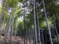 安吉流宿 - 厢守山景豪华大床房