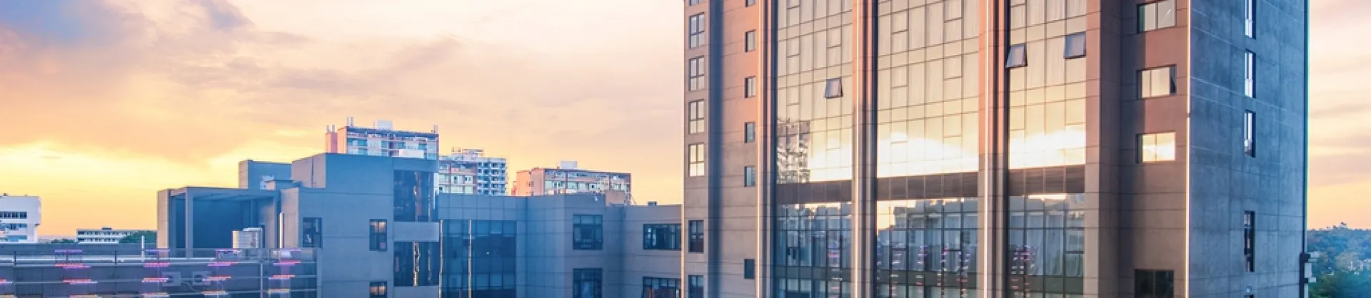 Four-Star Hotels
