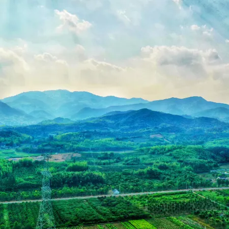 Moganshan Liyuan Meizhu