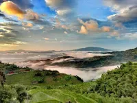 Ziquejie Zhuofan Home Homestay - Mountain view