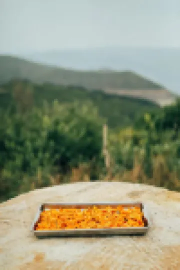 Taiyuan Jinian Mountain Inn Hôtels à proximité de : Duofu Temple