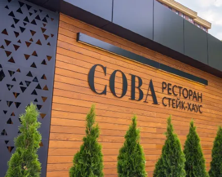 Sova Park-Hotel Hotels in Ryazan