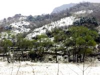 北京画田山居民宿 - 隐逸居小院