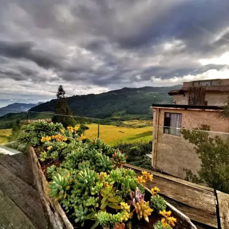 The Twelve Manor Terraces Hostel