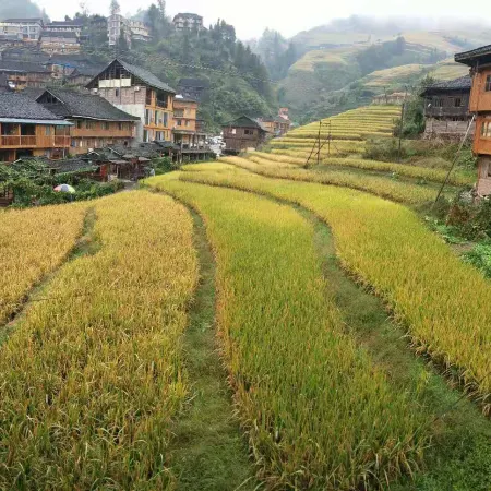 Yixianju Inn Longji Terrace