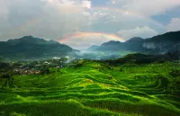 Qingquanshi Boutique Guesthouse