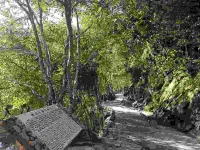 Fuliang Raonan Homestay - Bữa sáng