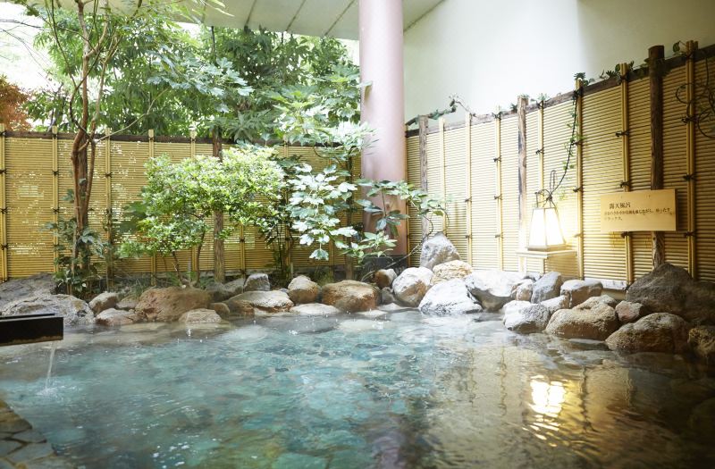 Kinugawa Onsen Hotel photo 5