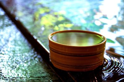 屋内プール 越後湯沢温泉 露天大岩風呂の宿 湯沢東映ホテルの写真