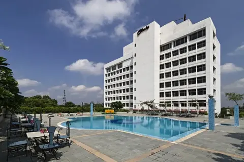Clarks Avadh