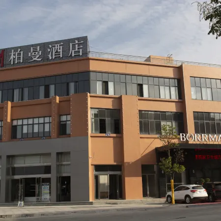 Borrman(Shishou Xiang'e Agricultural trade city)