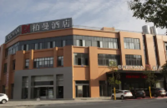 Borrman(Shishou Xiang'e Agricultural trade city)