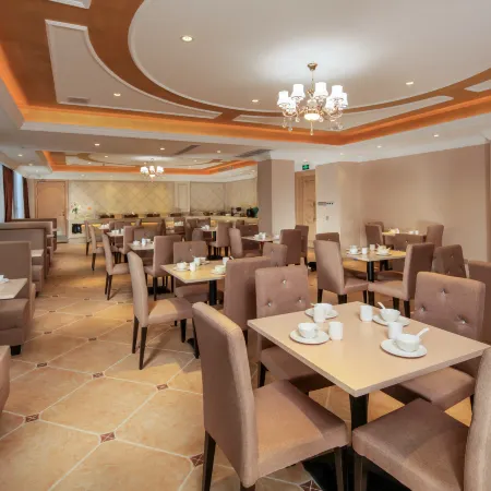 Vienna Hotel (Ziyun Xindou)