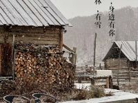 布尔津有院山居民宿 - 其他