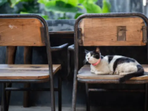 Tangtao Yard Hostel (Xiamen Gulangyu Fuxing Castle) Hotels near Kulangsu
