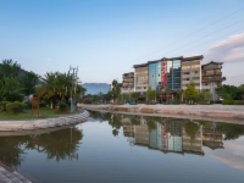 鎮沅茶王大酒店 鎮沅酒店