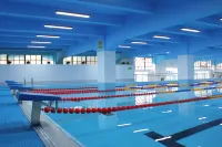 Chuxiong WeishengXiongbao Hotel