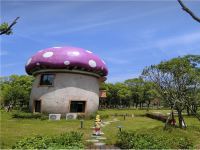 常州露营谷房车宿营 - 紫色蘑菇屋