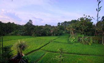 Byasa Ubud