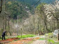 南岳衡山半山便捷山庄 - 酒店附近